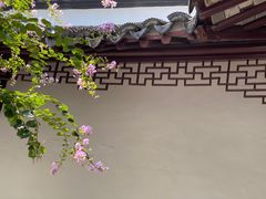 -上海醉白池公园
