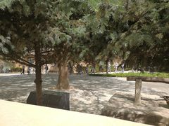 -延安杨家岭革命旧址