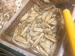 -潮庭·大连海鲜·炭火烧烤·扇贝王(大连店)