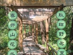 -大岭沟猕猴桃谷风景区