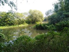 -新江湾城公园