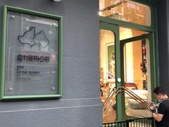 -電力宠物公司(武定路店)