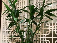 -广州中心皇冠假日酒店-环市食坊·海鲜自助餐厅