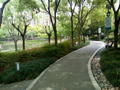 -陈家山荷花公园
