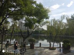 -文瀛公园
