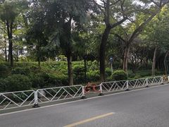 -怡海公园(桂城街道)