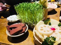 -白乐天毛肚火锅馆(解放碑店)