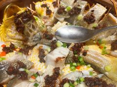 沙窝藤椒焗多宝鱼-新雅(丰盛里店)