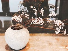 -水之惠鲜鱼料理(王府大街店)