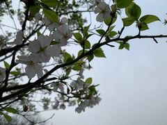 -沙市市中山公园