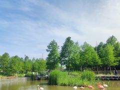 -宁波杭州湾国家湿地公园
