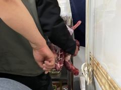-马学武手抓美食(下南关总店)
