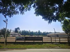 -北京群众马术培训基地