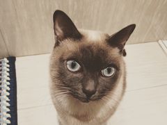 -朴太院·烤肉万岁(盐城店)