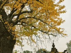 -惠山古镇·寄畅园