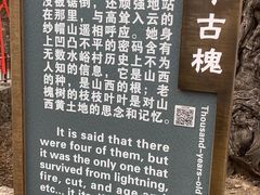 -水峪民俗村