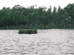-洋湖国家湿地公园