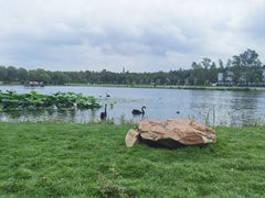 -长春市南湖公园