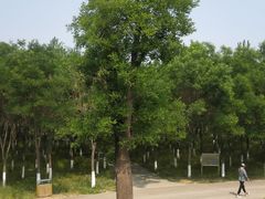 -东郊湿地公园