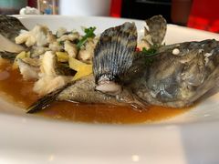 石斑鱼-溏心风鲍港式打边炉(余英坊店)