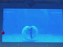 -石家庄极地海洋世界