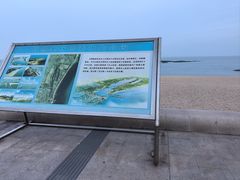 -日照灯塔风景区