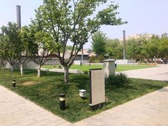 -The Rug Cafe(王府中环店)