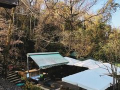 -龙井壹号·茶缘山景宴(龙井村店)