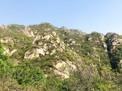 -大岭沟猕猴桃谷风景区