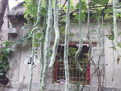 -井塘古村