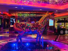 -纯K(打浦桥店)