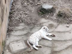 -宁波野生动物园