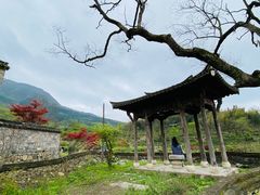 -塔川景区