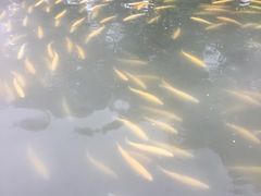 -万达影城(IMAX激光铁西万达广场店)