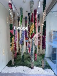 -Evigor医维格医美