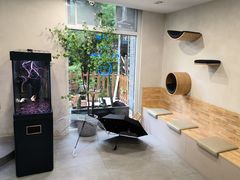 -伟伟宠物医院·CT影像中心·瑞派犬猫综合性门诊(汉口总院)