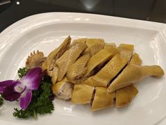 -金华安大酒楼·老牌潮菜·粤式茶点(东方国际店)