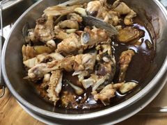 -源港渔村-中山脆肉鲩(博罗店)