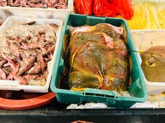 -东河市场