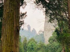 -雁荡山风景名胜区-小龙湫
