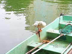 -团结湖公园