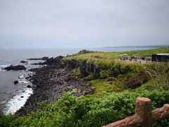 -涉地可支