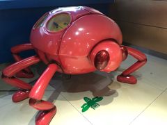 -上海昆虫博物馆