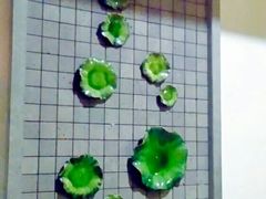-品粹徽园·家常安徽菜