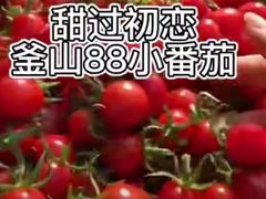 -西郊国际农产品交易中心