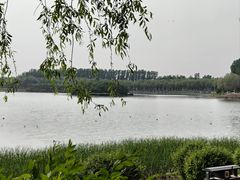 -丁香湖公园
