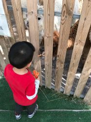 -萌宠亲子动物乐园(槐房万达店)