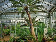 -国家植物园南园