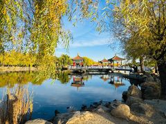 -长春市南湖公园