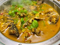 -全乐鱼馆·淳牌有机鱼直营店